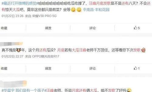 431页娱乐圈爆料,揭秘明星背后的真实故事  第1张 431页娱乐圈爆料,揭秘明星背后的真实故事  第1张